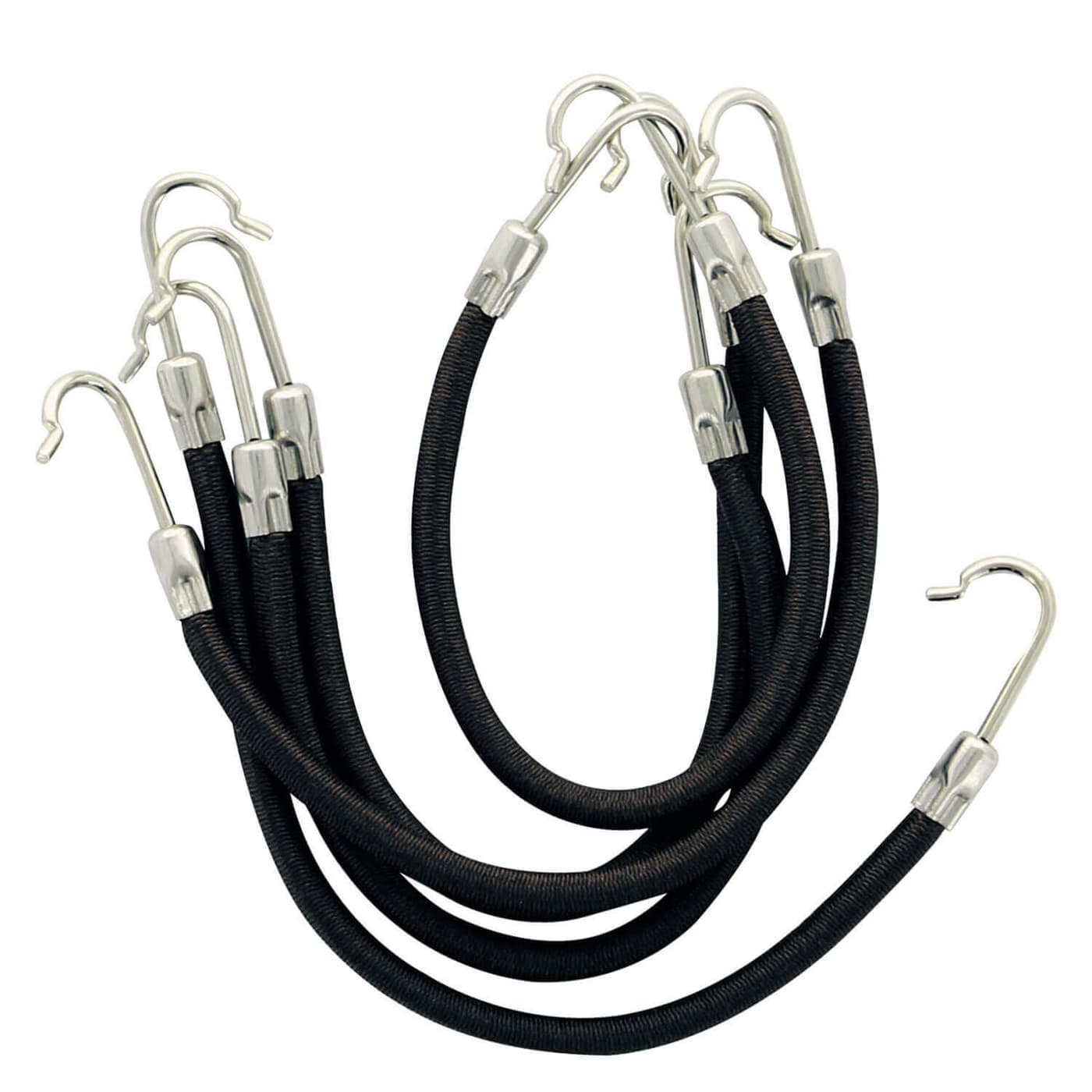 FRANCK PROVOST - Elastic mit Widerhaken Schwarz