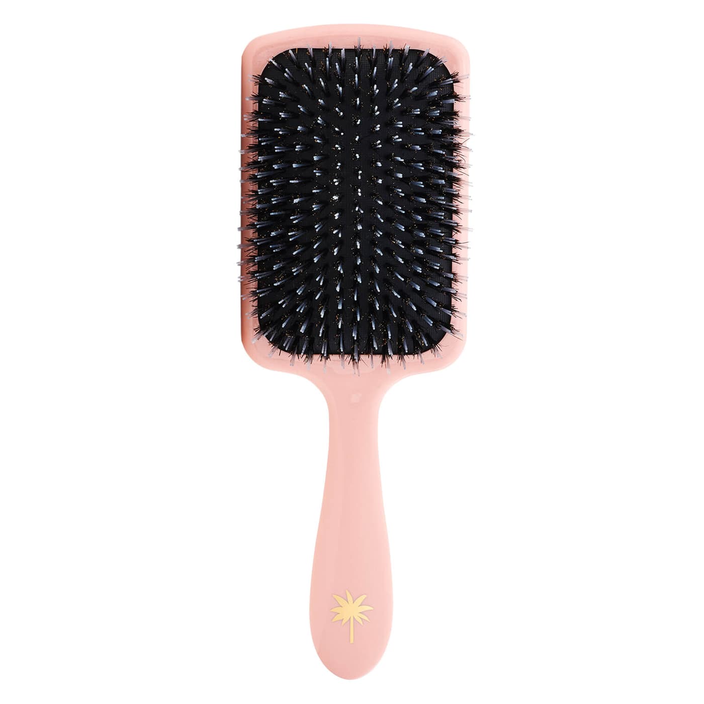 Fan Palm - Paddle Brush Large Double Bloom