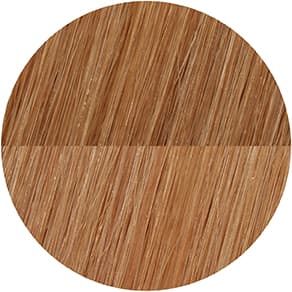 Showpony - 20" 3 IN 1 HALO BOXSET 9B-11B COOL SOFT BLONDE OMBRE